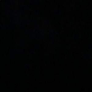 Meet your Posher, Maddy